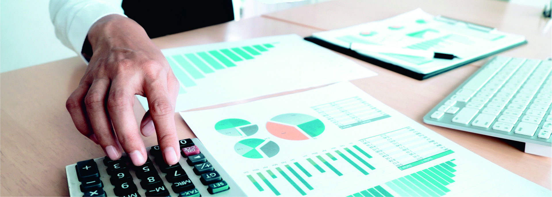 RISI FINANCIAL CONSULTANT